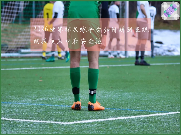 2026世界杯买球平台如何辨别正规的投注入口和安全性