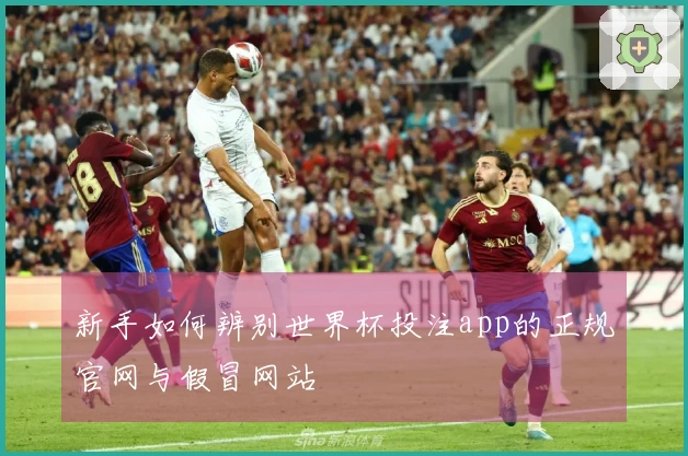 新手如何辨别世界杯投注app的正规官网与假冒网站