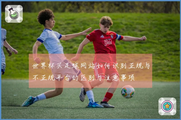 世界杯买足球网站如何识别正规与不正规平台的区别与注意事项