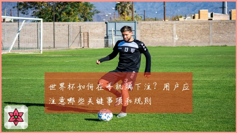 世界杯如何在手机端下注？用户应注意哪些关键事项和规则