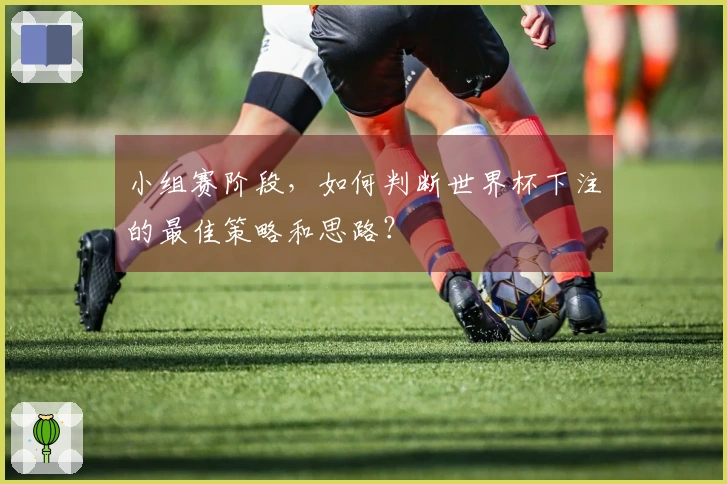 小组赛阶段，如何判断世界杯下注的最佳策略和思路？