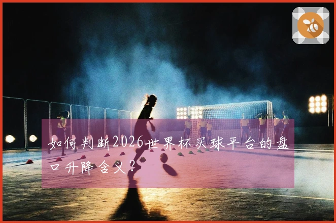 如何判断2026世界杯买球平台的盘口升降含义？
