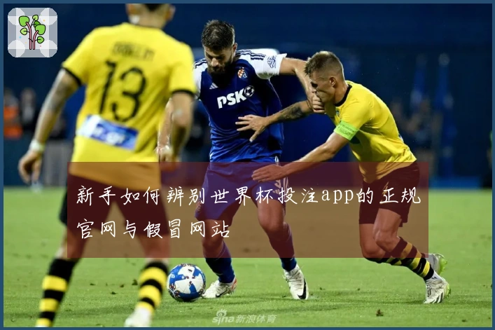 新手如何辨别世界杯投注app的正规官网与假冒网站