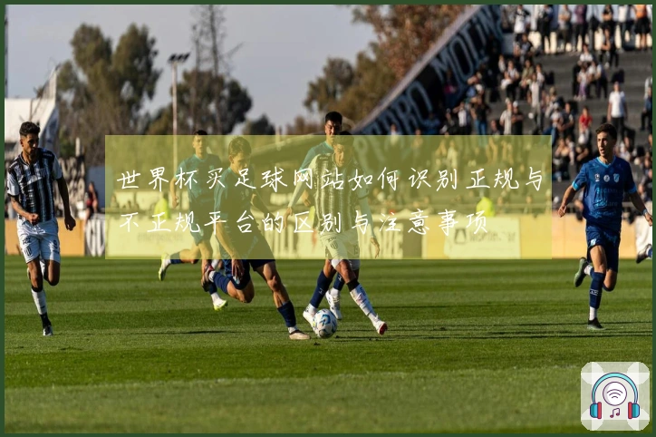 世界杯买足球网站如何识别正规与不正规平台的区别与注意事项