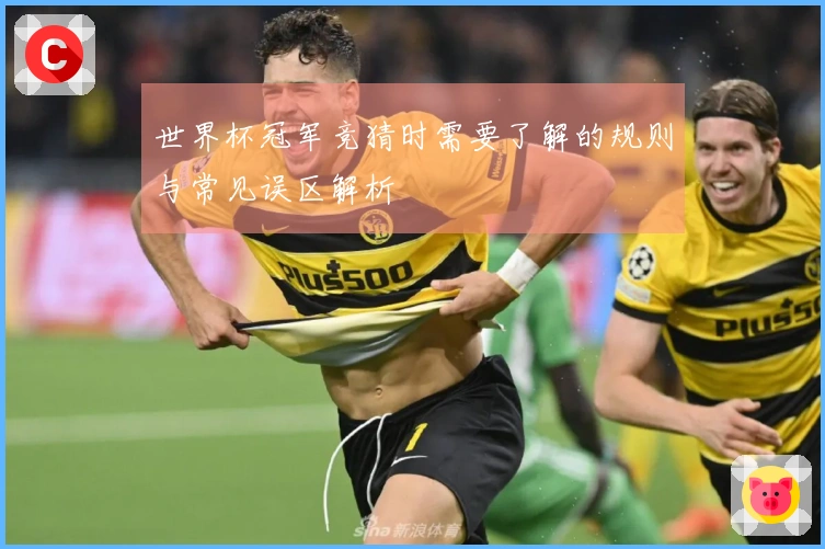 世界杯冠军竞猜时需要了解的规则与常见误区解析