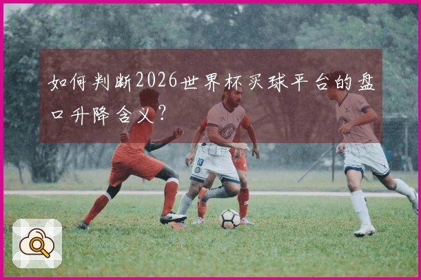 如何判断2026世界杯买球平台的盘口升降含义？