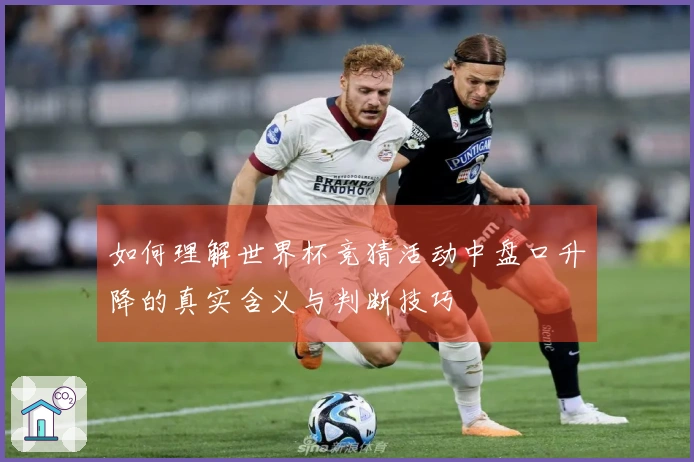 如何理解世界杯竞猜活动中盘口升降的真实含义与判断技巧