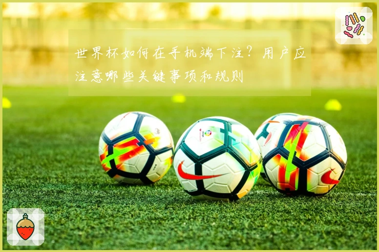 世界杯如何在手机端下注？用户应注意哪些关键事项和规则