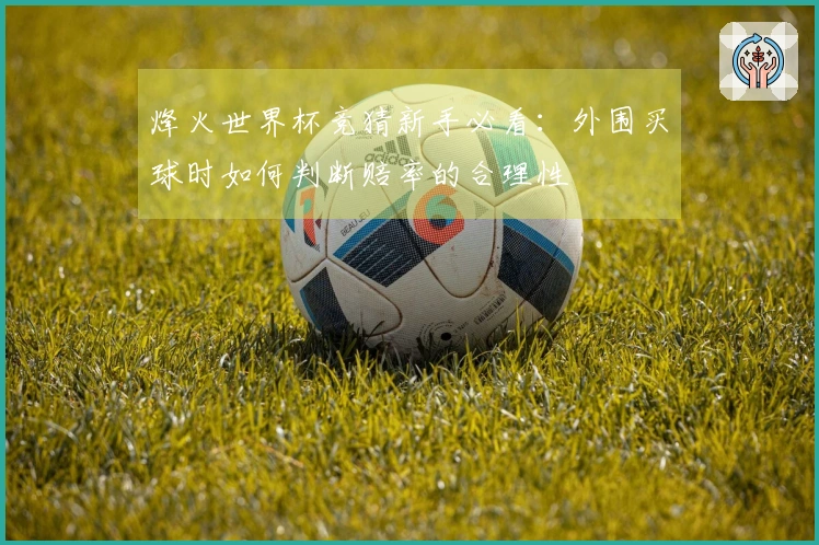 烽火世界杯竞猜新手必看：外围买球时如何判断赔率的合理性